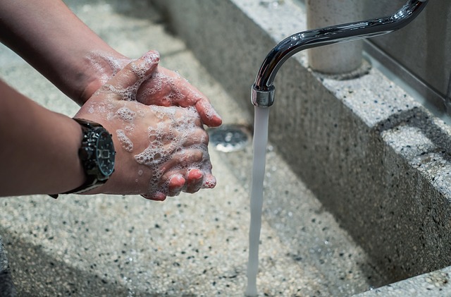 Where Can a Food Worker Wash Her Hands How to Wash Hands Properly