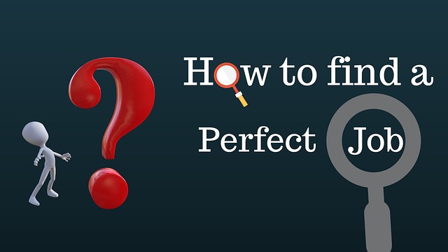 How to find a perfect job?